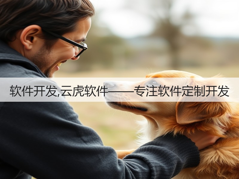 软件开发,云虎软件——专注软件定制开发(图1)