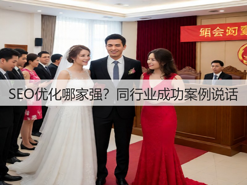 SEO优化哪家强?同行业成功案例说话(图3) SEO优化哪家强?同行业成功案例说话(图3)