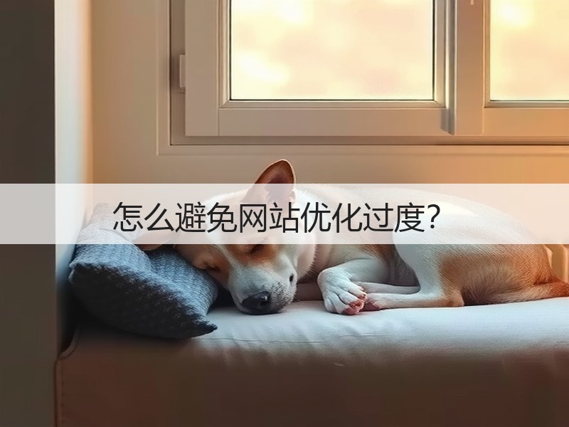 怎么避免网站优化过度?(图2) 怎么避免网站优化过度?(图2)