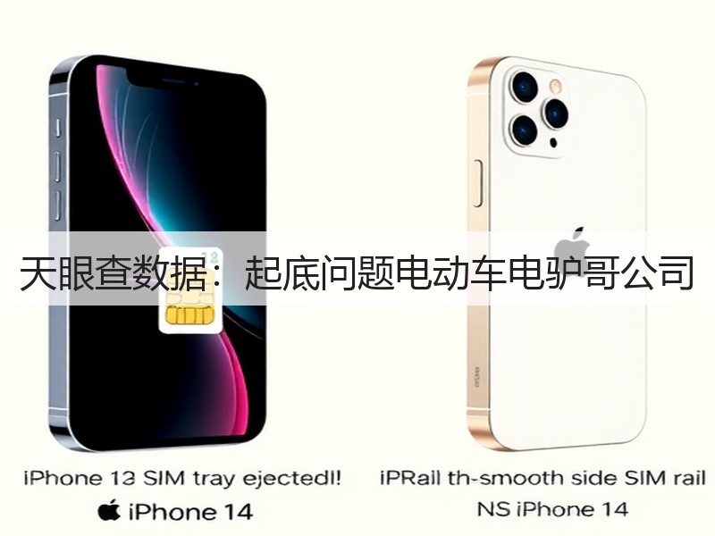 天眼查数据：起底问题电动车电驴哥公司(图3)