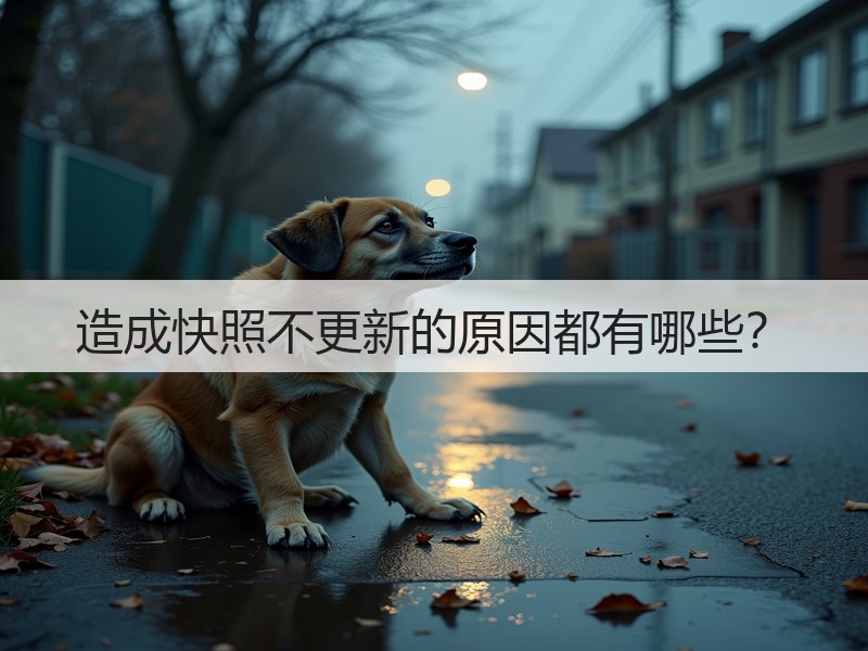 造成快照不更新的原因都有哪些？(图3)