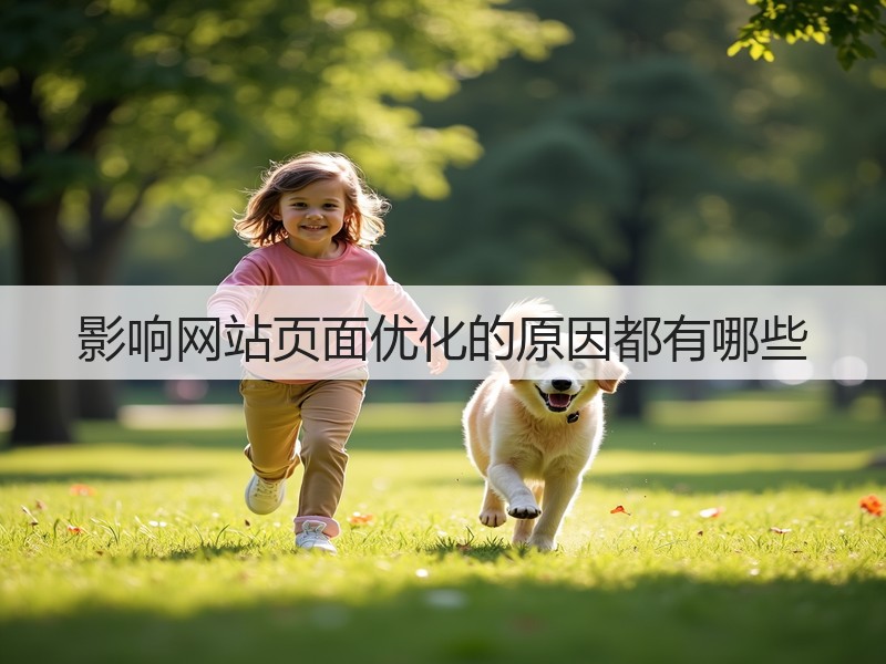 影响网站页面优化的原因都有哪些(图2)