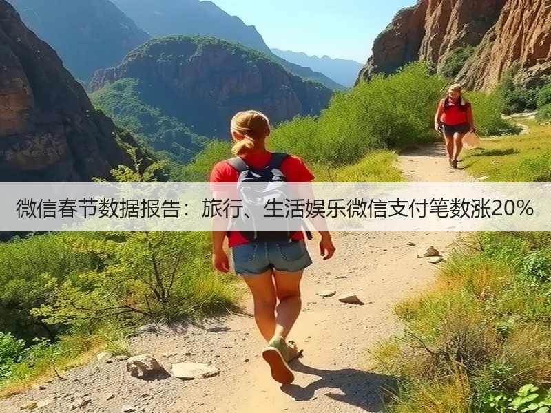 微信春节数据报告：旅行、生活娱乐微信支付笔数涨20%(图2)