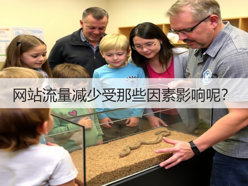 网站流量减少受那些因素影响呢？