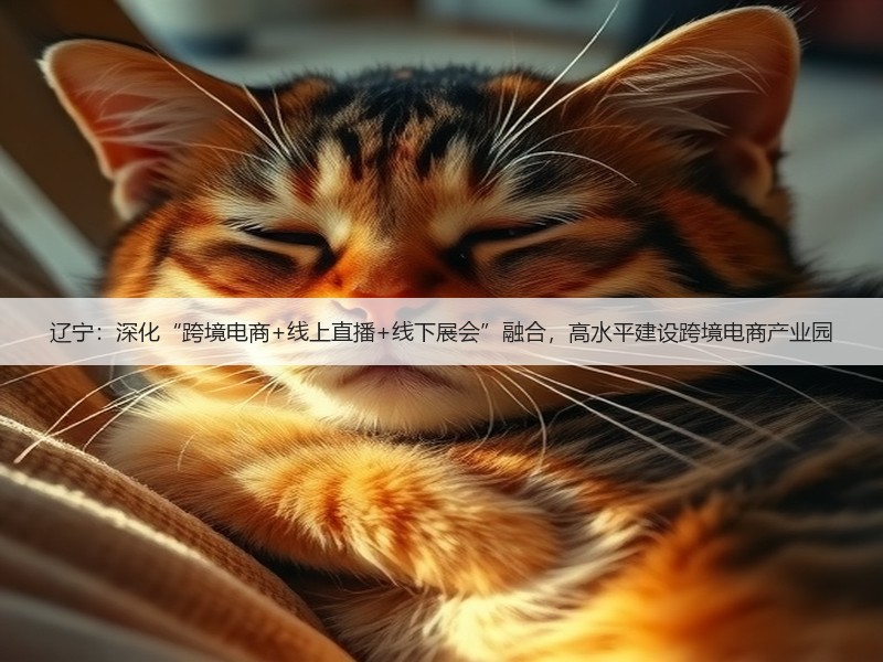 辽宁：深化“跨境电商+线上直播+线下展会”融合，高水平建设跨境电商产业园(图2)
