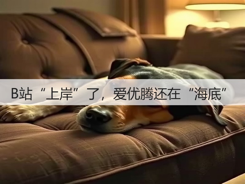 B站“上岸”了,爱优腾还在“海底”(图2) B站“上岸”了,爱优腾还在“海底”(图2)