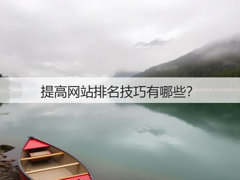 提高网站排名技巧有哪些？(图1)