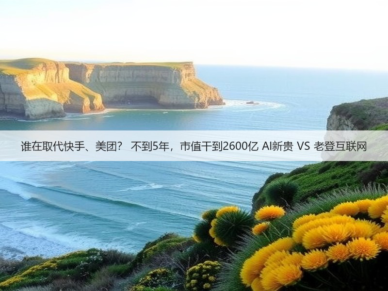 谁在取代快手、美团？ 不到5年，市值干到2600亿 AI新贵 VS 老登互联网(图3)