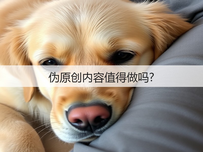 伪原创内容值得做吗?(图3)