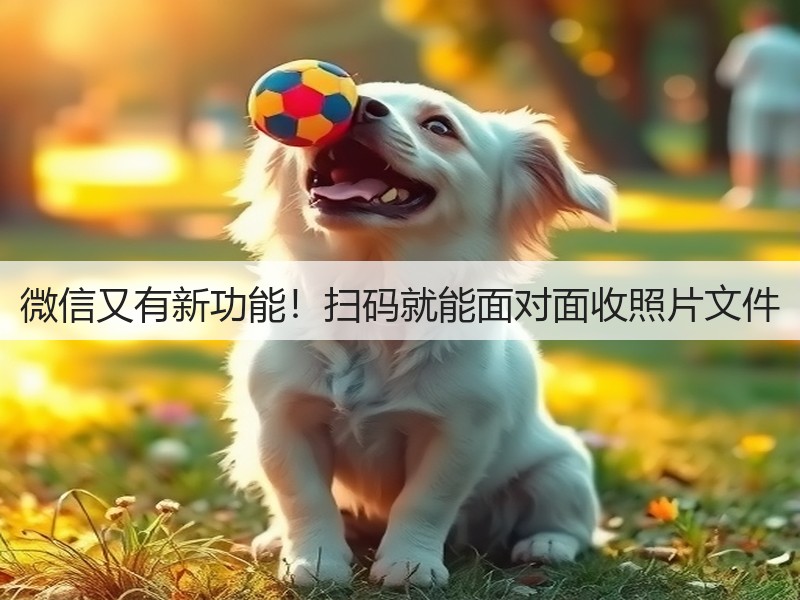 微信又有新功能！扫码就能面对面收照片文件(图3)