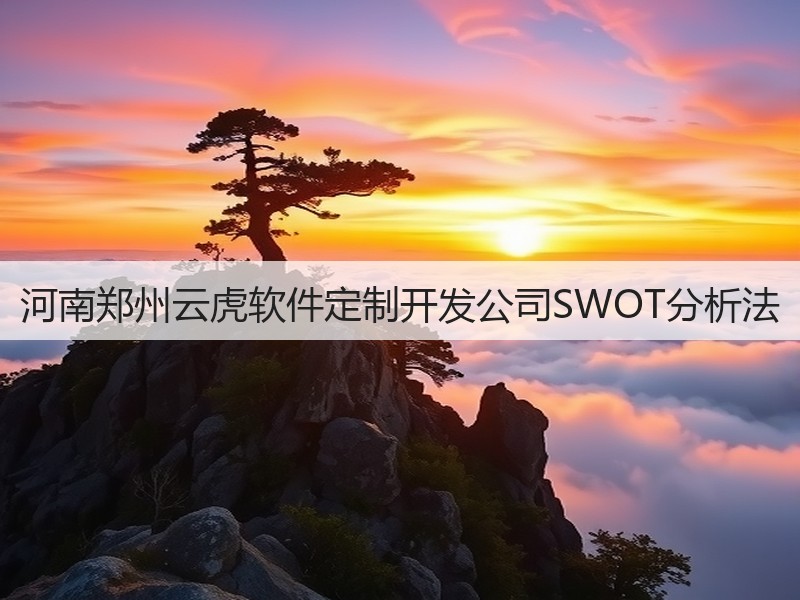 河南郑州云虎软件定制开发公司SWOT分析法(图1)