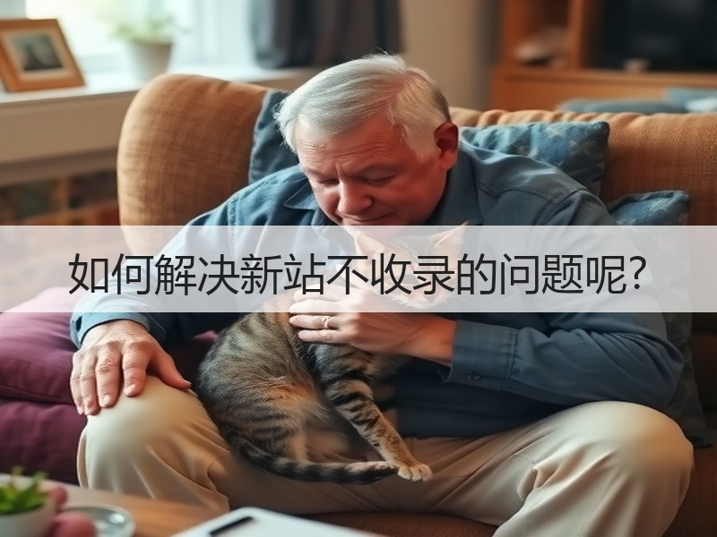 如何解决新站不收录的问题呢?