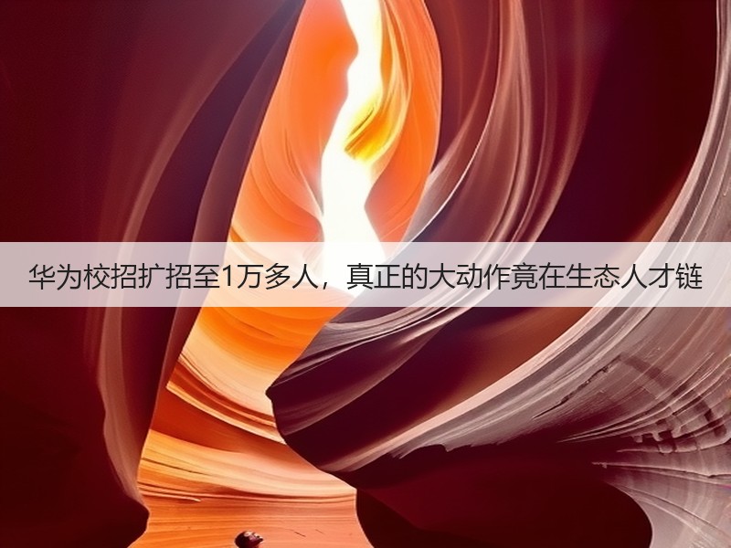 华为校招扩招至1万多人，真正的大动作竟在生态人才链(图2)