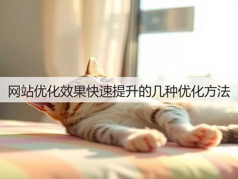 网站优化效果快速提升的几种优化方法(图3) 网站优化效果快速提升的几种优化方法(图3)