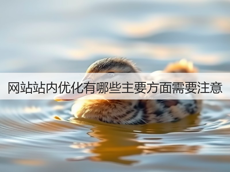 网站站内优化有哪些主要方面需要注意