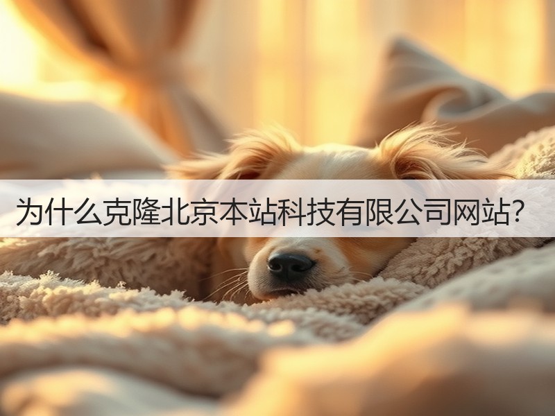 为什么克隆北京本站科技有限公司网站?(图1) 为什么克隆北京本站科技有限公司网站?(图1)