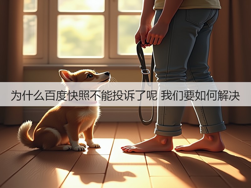 为什么百度快照不能投诉了呢 我们要如何解决(图3)