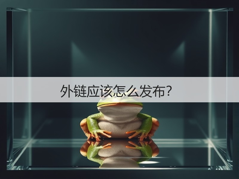 外链应该怎么发布?(图2) 外链应该怎么发布?(图2)