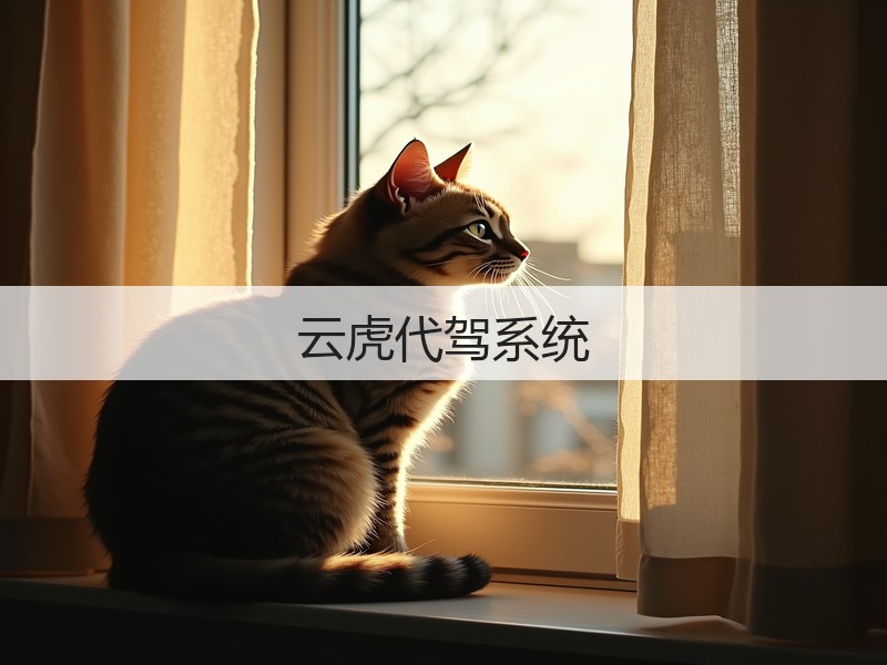 云虎代驾系统(图3)