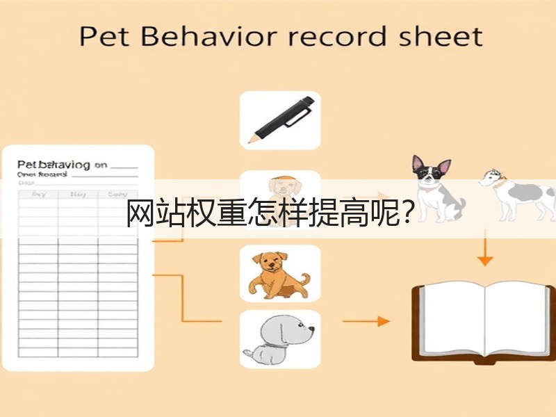 网站权重怎样提高呢？(图3)
