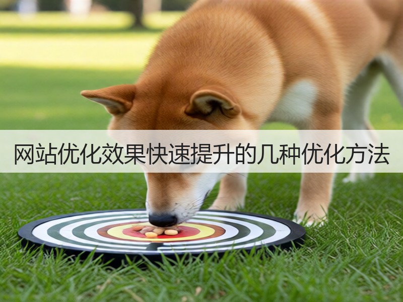网站优化效果快速提升的几种优化方法(图1) 网站优化效果快速提升的几种优化方法(图1)