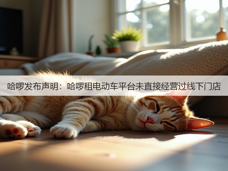 哈啰发布声明:哈啰租电动车平台未直接经营过线下门店(图3) 哈啰发布声明:哈啰租电动车平台未直接经营过线下门店(图3)