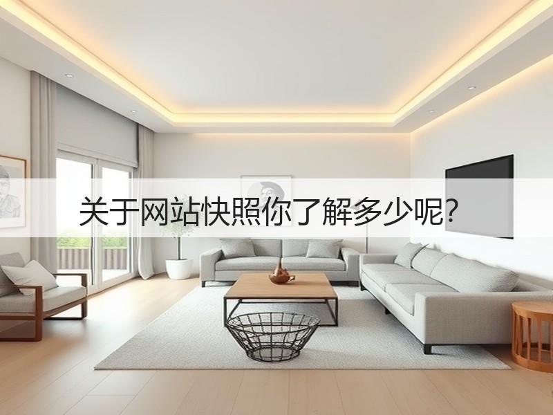 关于网站快照你了解多少呢？(图3)