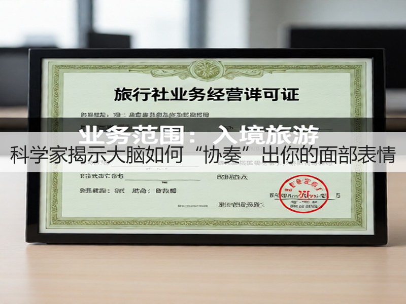 科学家揭示大脑如何“协奏”出你的面部表情(图3)