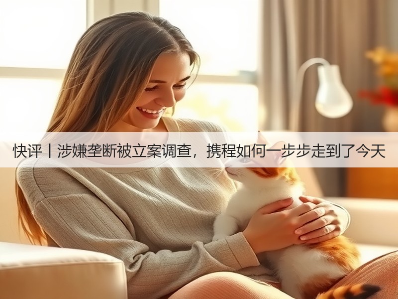 快评丨涉嫌垄断被立案调查,携程如何一步步走到了今天(图3) 快评丨涉嫌垄断被立案调查,携程如何一步步走到了今天(图3)