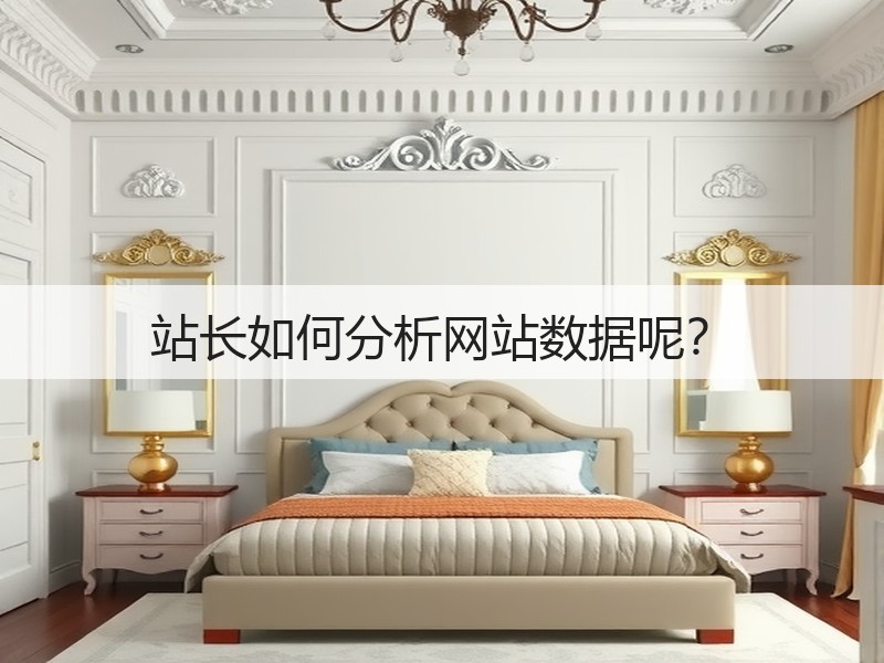 站长如何分析网站数据呢？(图2)