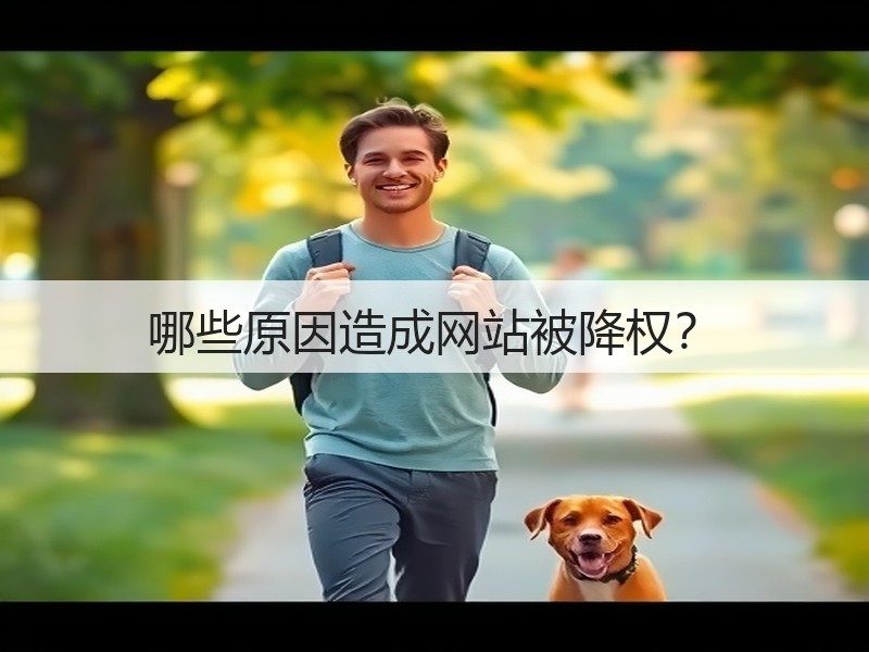 哪些原因造成网站被降权?(图3) 哪些原因造成网站被降权?(图3)