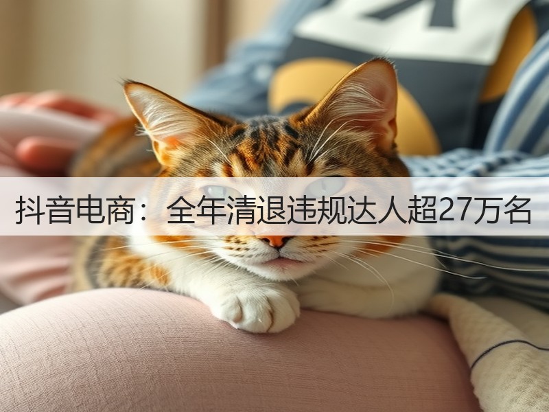 抖音电商：全年清退违规达人超27万名(图3)
