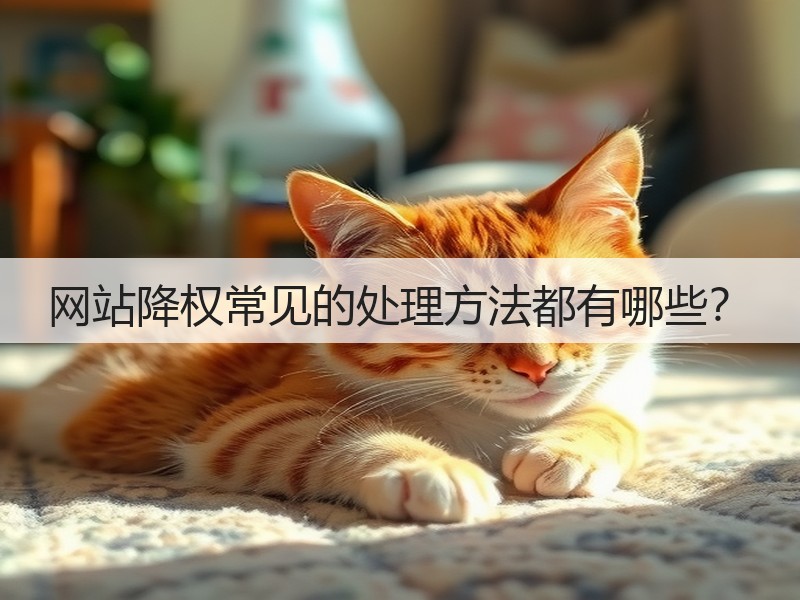 网站降权常见的处理方法都有哪些?(图2) 网站降权常见的处理方法都有哪些?(图2)