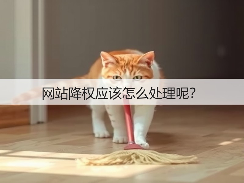 网站降权应该怎么处理呢？(图1)