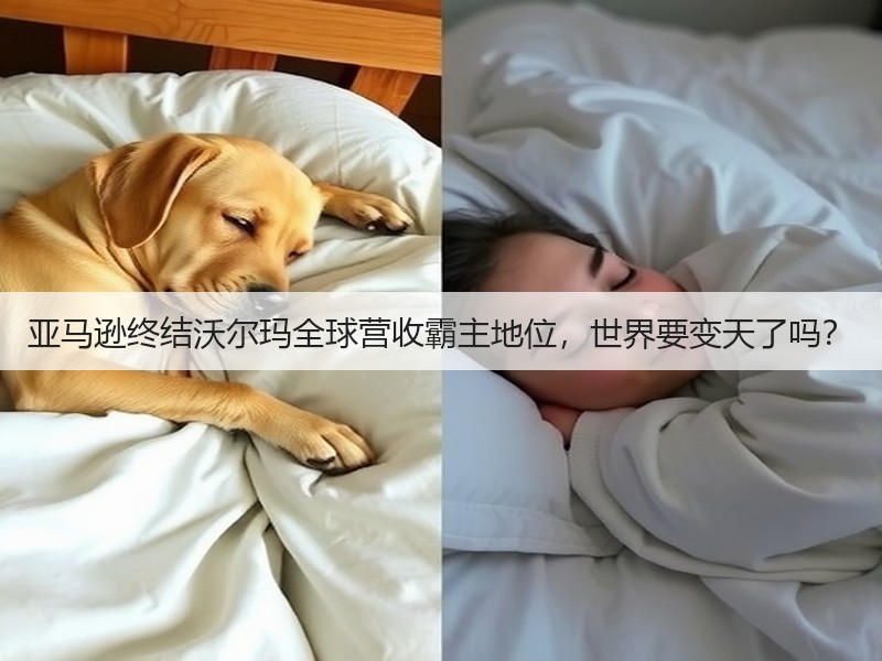 亚马逊终结沃尔玛全球营收霸主地位，世界要变天了吗？(图3)