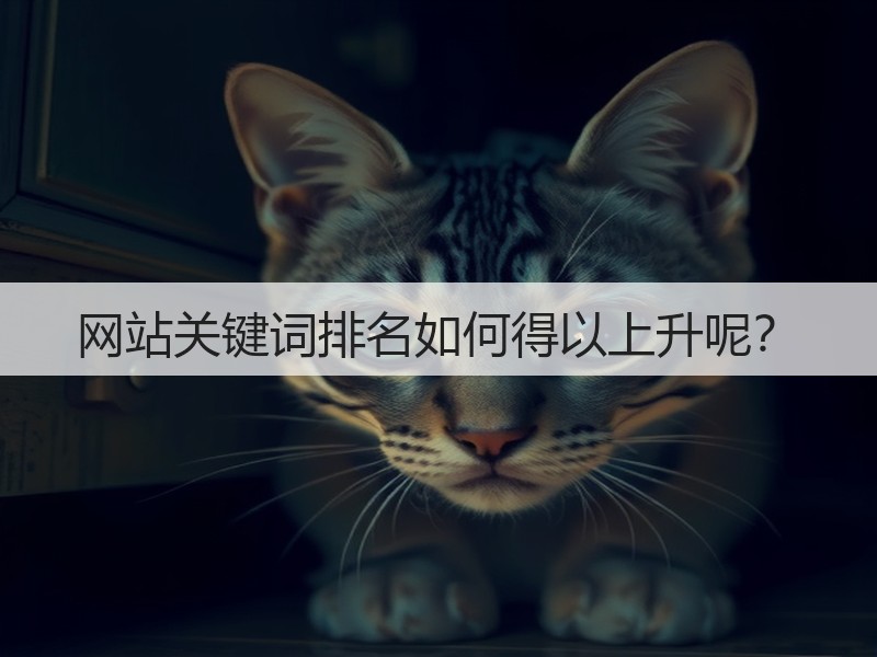 网站关键词排名如何得以上升呢？(图3)