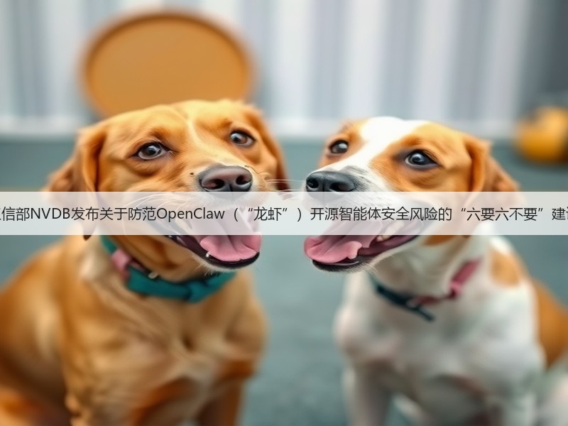 工信部NVDB发布关于防范OpenClaw（“龙虾”）开源智能体安全风险的“六要六不要”建议(图3)