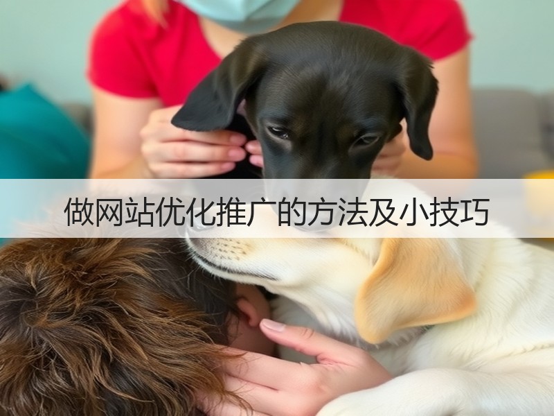 做网站优化推广的方法及小技巧(图1)