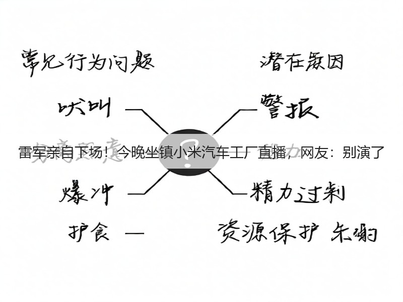 雷军亲自下场！今晚坐镇小米汽车工厂直播，网友：别演了(图3)