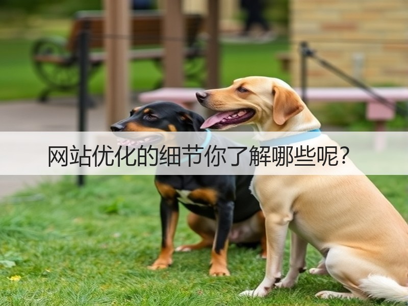 网站优化的细节你了解哪些呢？(图2)