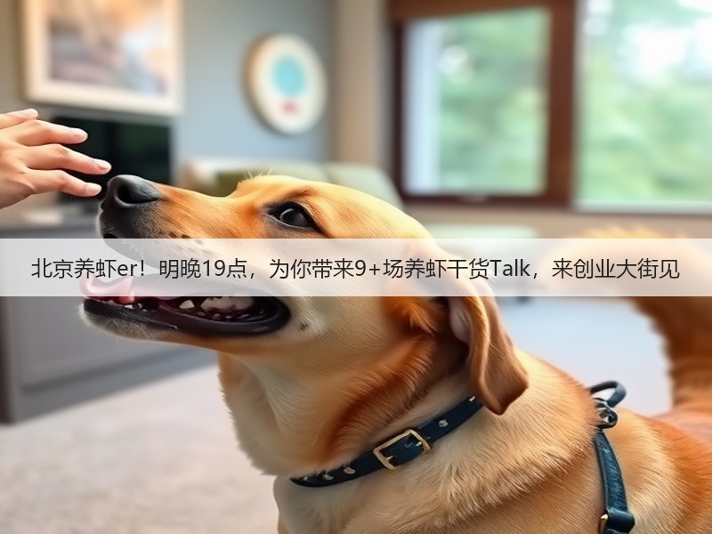 北京养虾er!明晚19点,为你带来9+场养虾干货Talk,来创业大街见(图2) 北京养虾er!明晚19点,为你带来9+场养虾干货Talk,来创业大街见(图2)