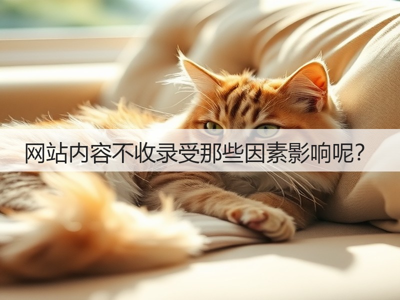 网站内容不收录受那些因素影响呢?(图3) 网站内容不收录受那些因素影响呢?(图3)