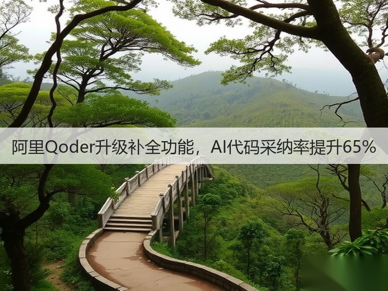阿里Qoder升级补全功能，AI代码采纳率提升65%(图3)