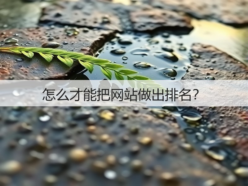 怎么才能把网站做出排名？(图1)