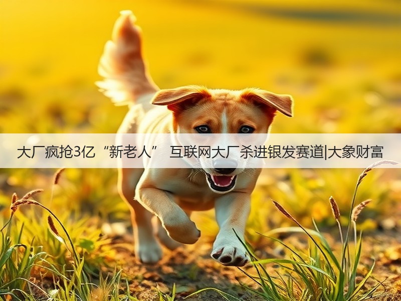 大厂疯抢3亿“新老人” 互联网大厂杀进银发赛道|大象财富(图3) 大厂疯抢3亿“新老人” 互联网大厂杀进银发赛道|大象财富(图3)