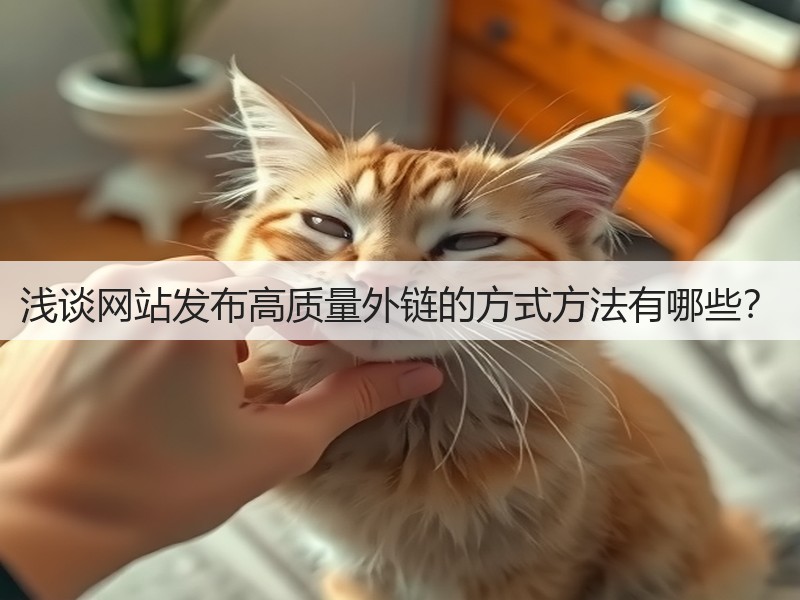 浅谈网站发布高质量外链的方式方法有哪些？(图1)