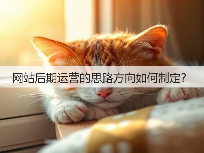网站后期运营的思路方向如何制定?(图3) 网站后期运营的思路方向如何制定?(图3)