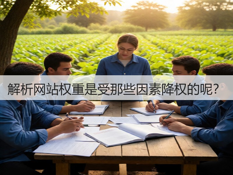 解析网站权重是受那些因素降权的呢?(图3) 解析网站权重是受那些因素降权的呢?(图3)