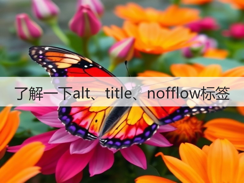了解一下alt、title、nofflow标签