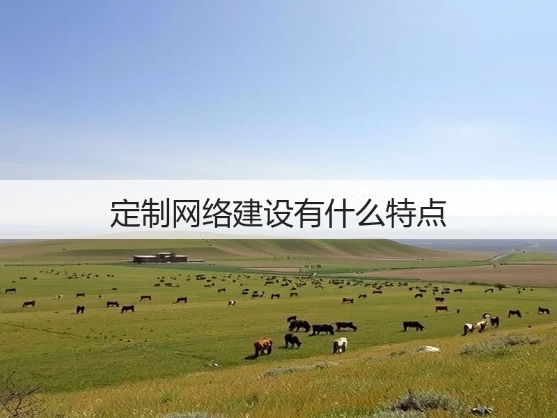 定制网络建设有什么特点(图3)